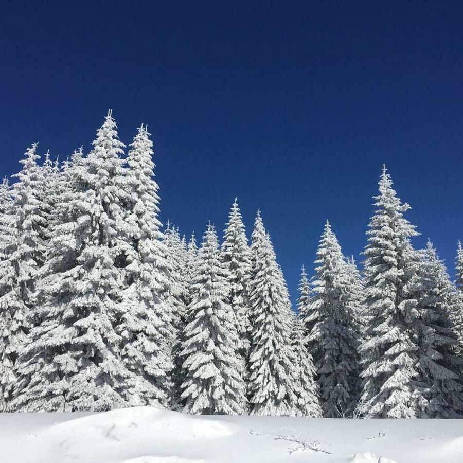 Apartmani Nicole Kopaonik Zewnętrze zdjęcie